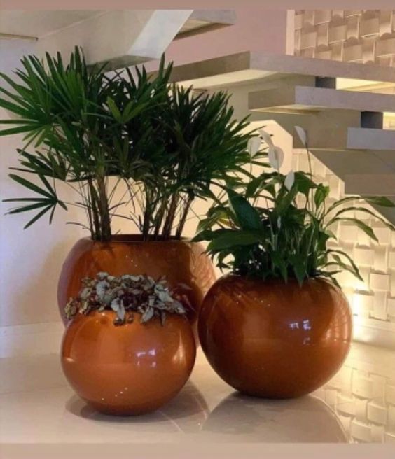 Wooden Round Planter Set