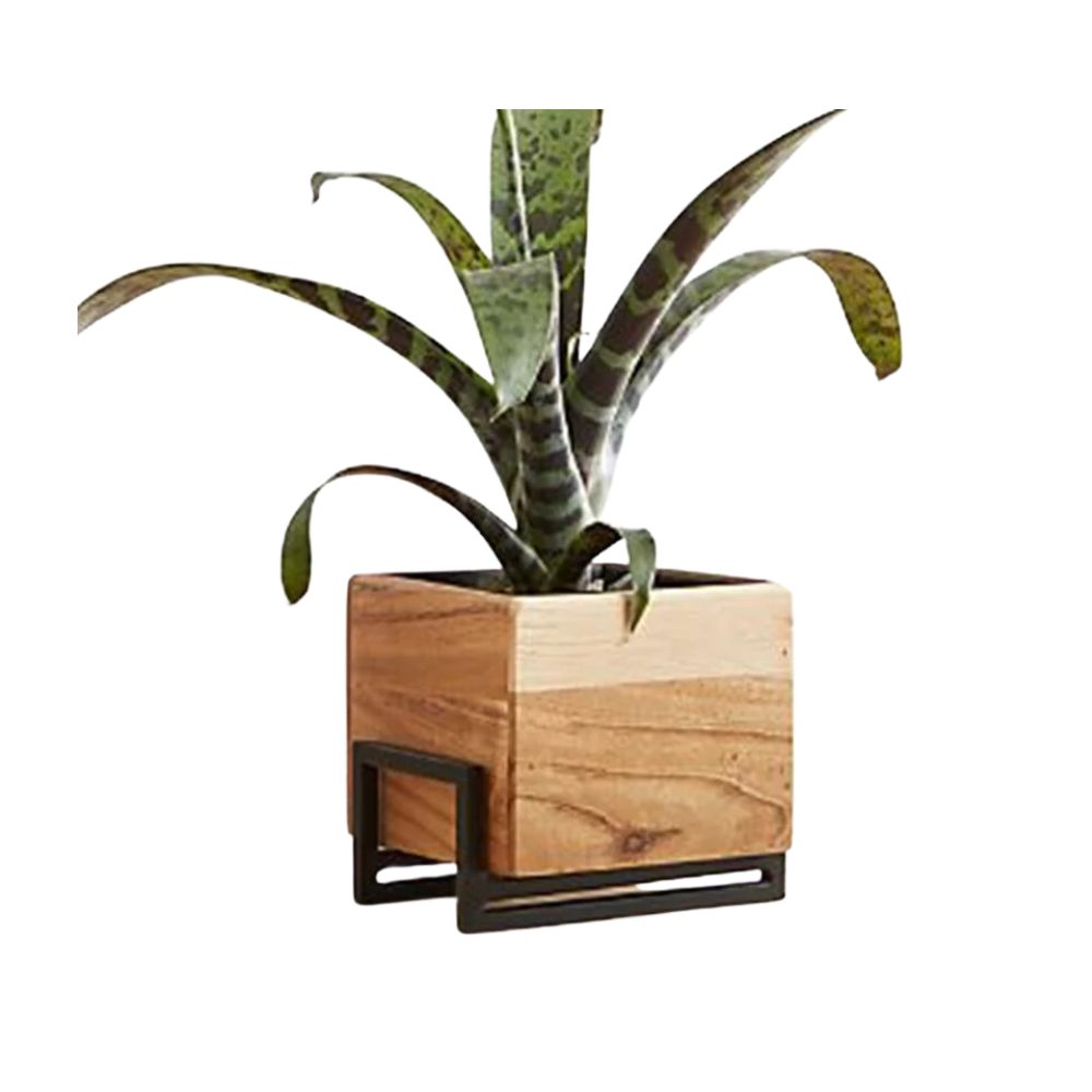 Box in Wooden Planter