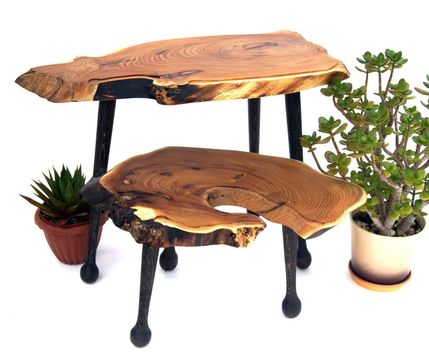 Wooden 3 Legs Raw Table Set