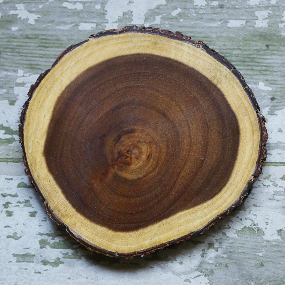 Rusty Wooden Log Cutting Board