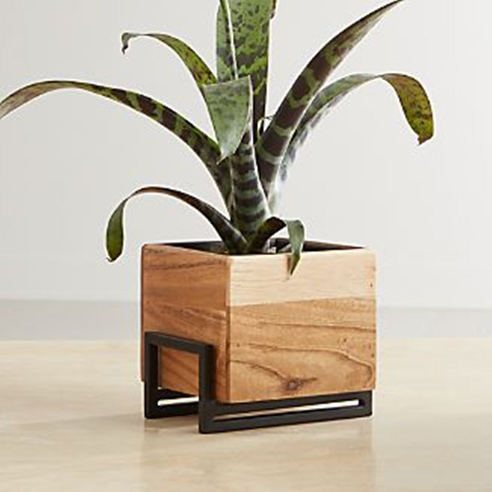 Box in Wooden Planter