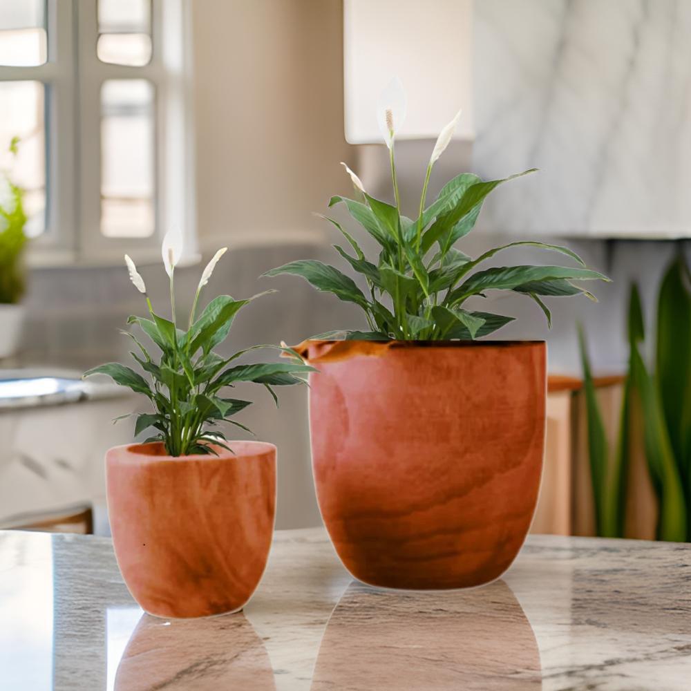 Persian Lilac Wooden Planter Set