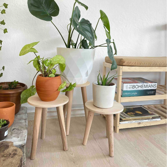 Wooden Plant Stand with detachable legs